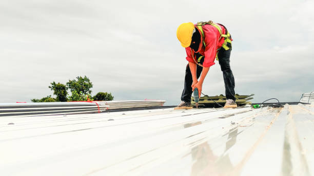 Best Roof Coating and Sealing  in Ashland, NE