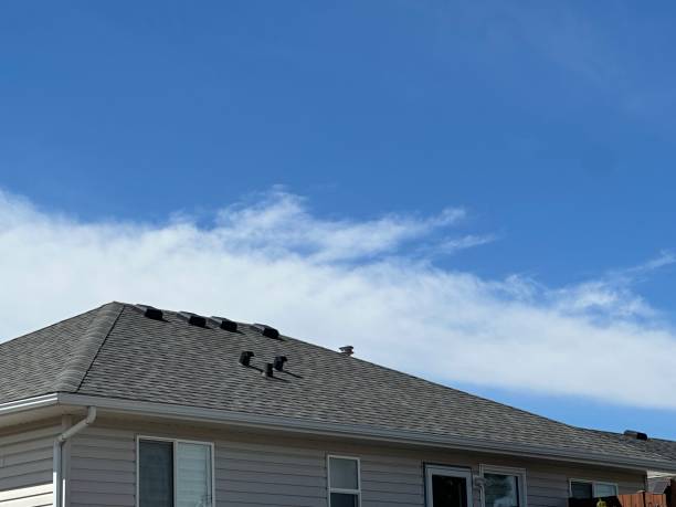 Reliable Ashland, NE Roofing Services Solutions